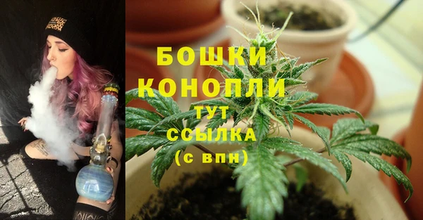 Альфа ПВП Нефтекумск